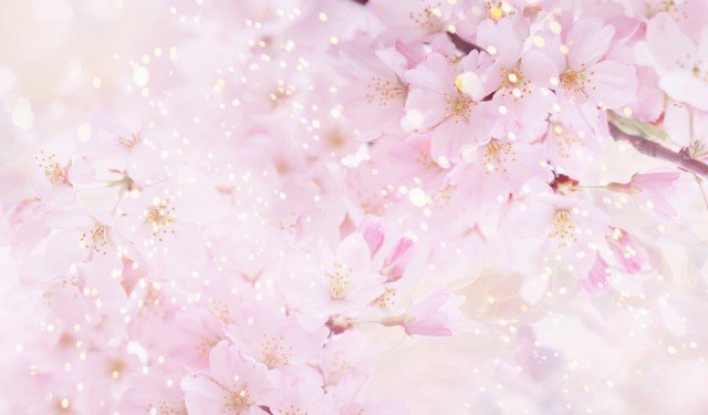 beautiful-background-flowers