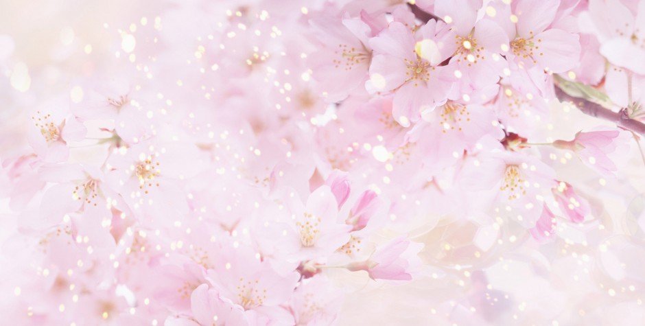 beautiful-background-flowers